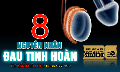 Top 8 nguyên nhân bị đau 1 bên tinh hoàn bên trái - Phải